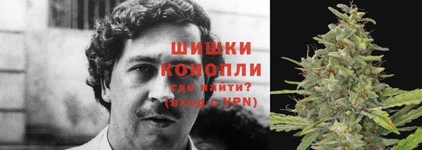 сатива Балабаново