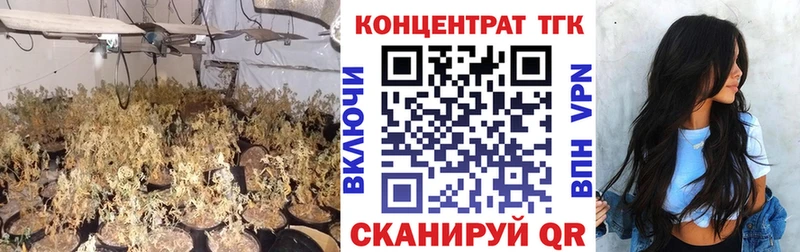 ТГК THC oil  Грязовец 