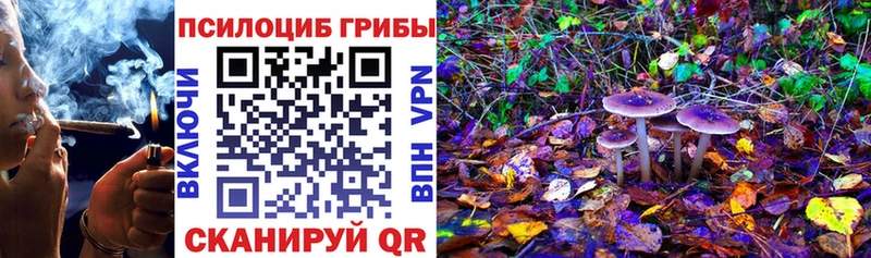 площадка Telegram  Грязовец  Галлюциногенные грибы мицелий  наркотики  omg зеркало 